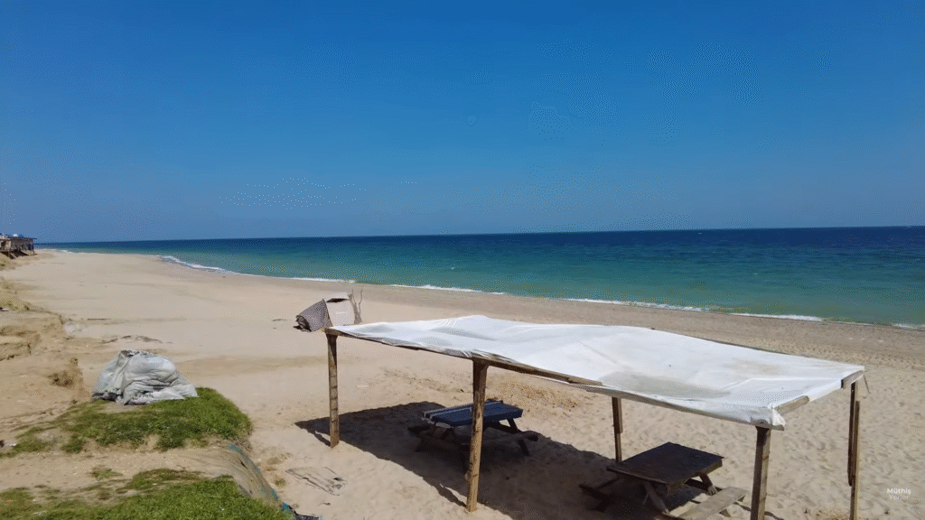 ormanlı plajı