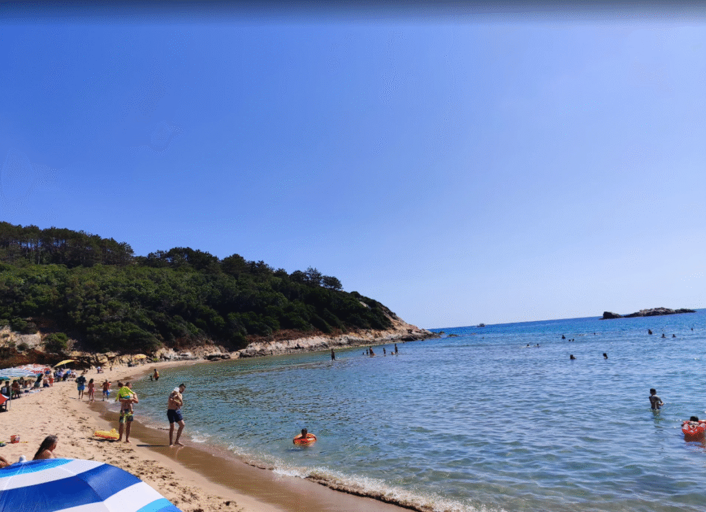 Çamlıköy Tabiat Parkı