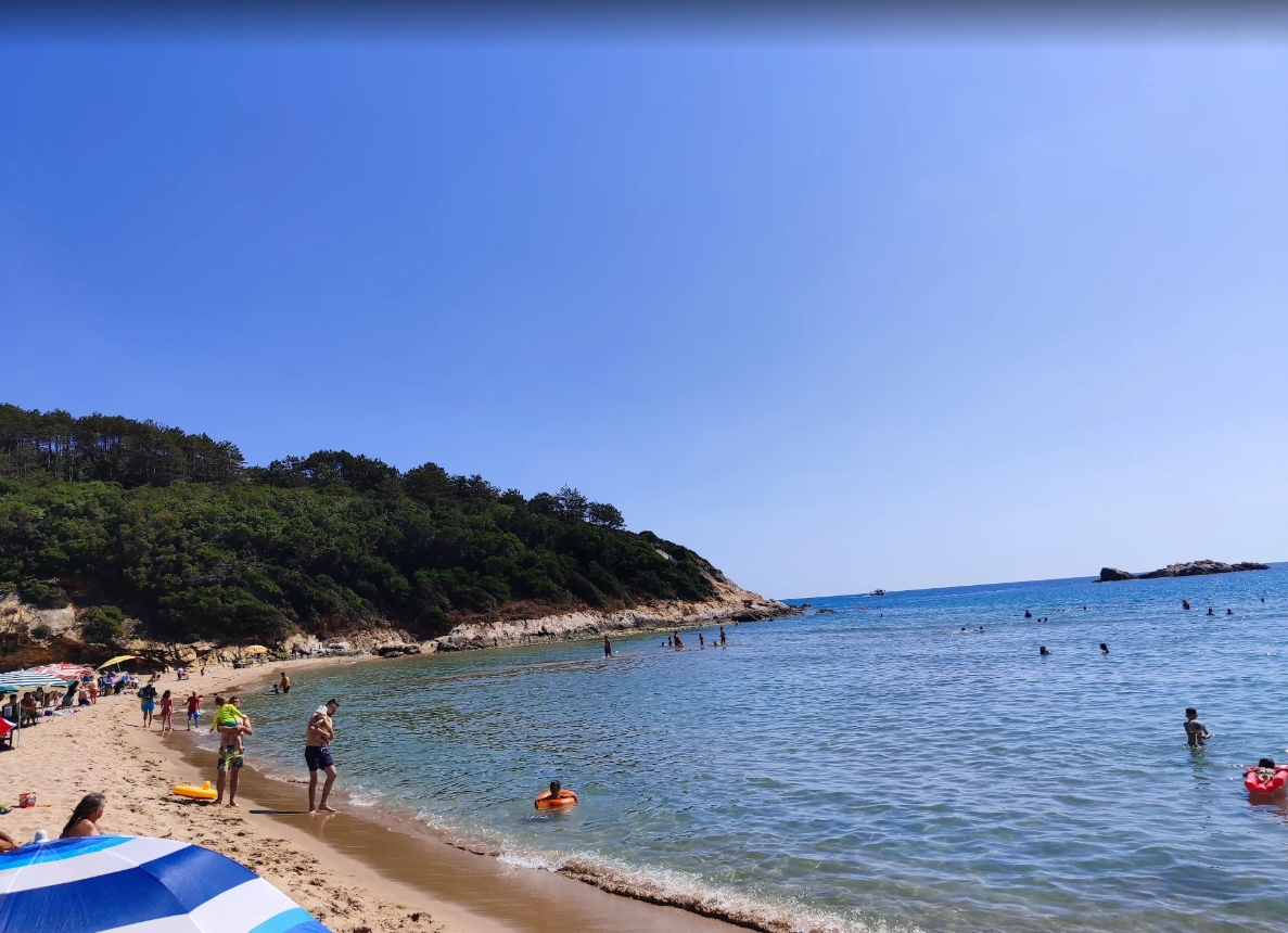 Çamlıköy Tabiat Parkı